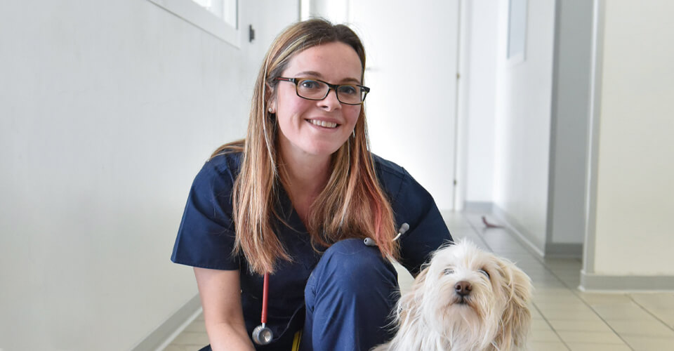 La Dottoressa Giorgia Conforto della Clinica Veterinaria Serenissima a Sacile, in provincia di Pordenone, sorridente in camice blu navy con uno stetoscopio si inginocchia accanto a un piccolo e soffice cane bianco, mostrando la cura e la dedizione del suo team in un corridoio con pareti bianche e pavimenti piastrellati.