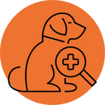 Disegno lineare di un cane seduto, con una lente di ingrandimento con il simbolo di una croce medica sul corpo, il tutto all'interno di un cerchio arancione.