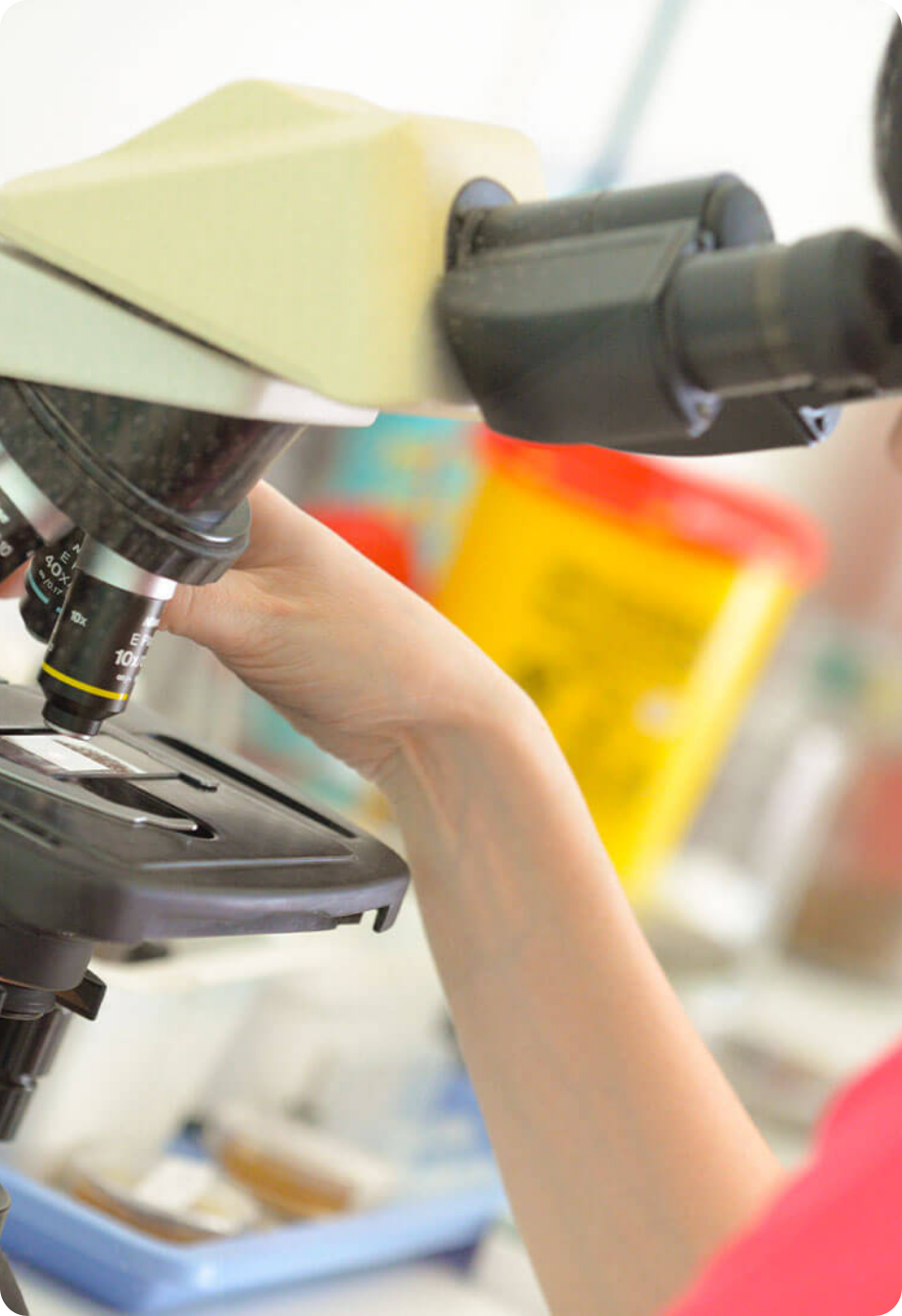 Una persona utilizza un microscopio in un laboratorio ben illuminato. Una mano regola il palcoscenico del microscopio, mentre sullo sfondo sono visibili attrezzature di laboratorio sfocate, tra cui un contenitore giallo.